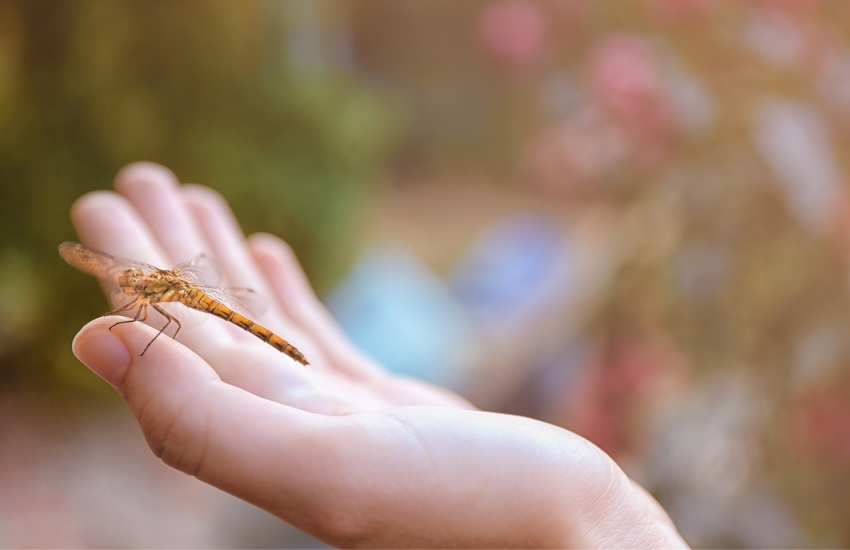 Activez votre énergie de vie positive et progressez avec le Coaching en développement personnel proposé par Alba Nueva Activez votre énergie de vie positive et progressez avec le Coaching en développement personnel proposé par Alba Nueva Coaching & Formation
